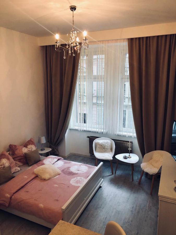 Tomas Apartments Gold 카를로비바리 외부 사진